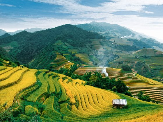 guida di viaggio in vietnam