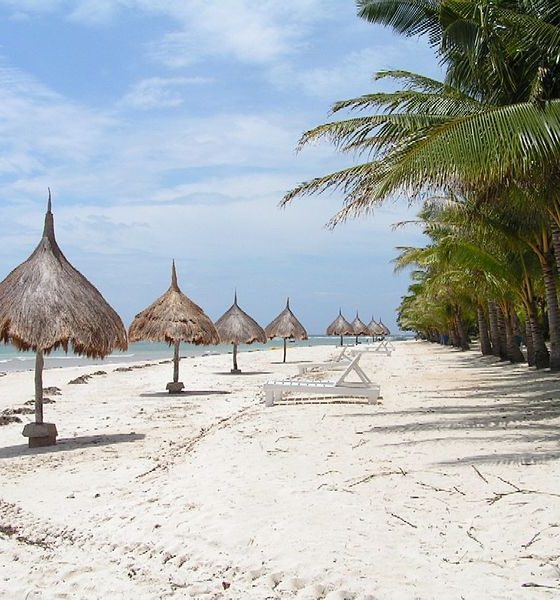 viaggioinasia andare da cebu a bohol