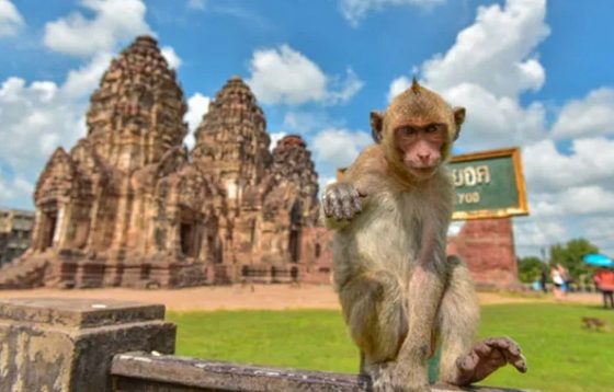 metodi per andare da bangkok a lopburi