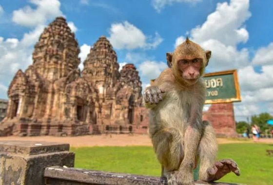 metodi per andare da bangkok a lopburi