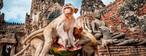 thailandia andare da Bangkok a Lopburi