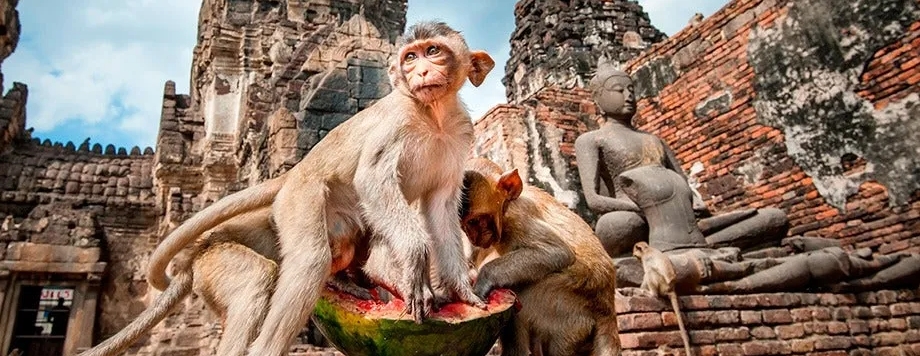thailandia andare da Bangkok a Lopburi