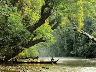 istruzioni su come andare da kuala lumpur a taman negara