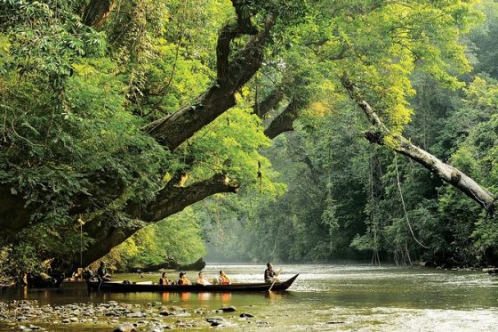 istruzioni su come andare da kuala lumpur a taman negara