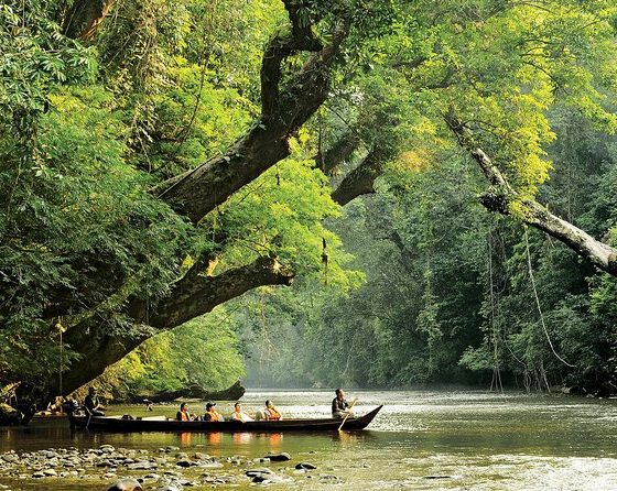 istruzioni su come andare da kuala lumpur a taman negara