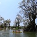 Cambogia andare da Siem Reap a Stung Treng