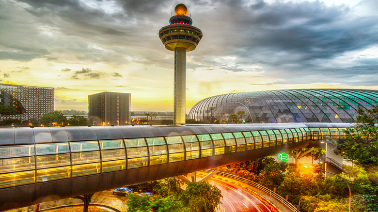 guida al changi singapur airport viaggioinasia-com